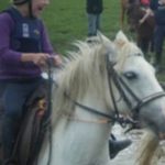 67404745_1493554324102838_679476264452489216_n